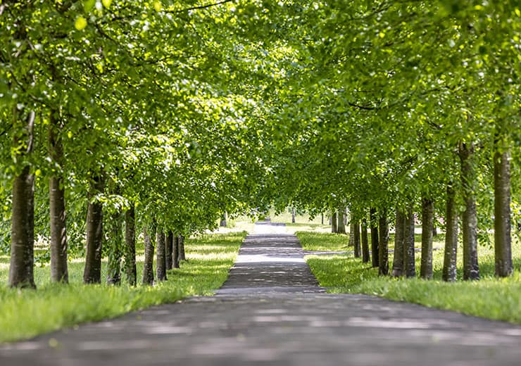 cards-parkhoogveld-mooie-wandelpaden.jpg